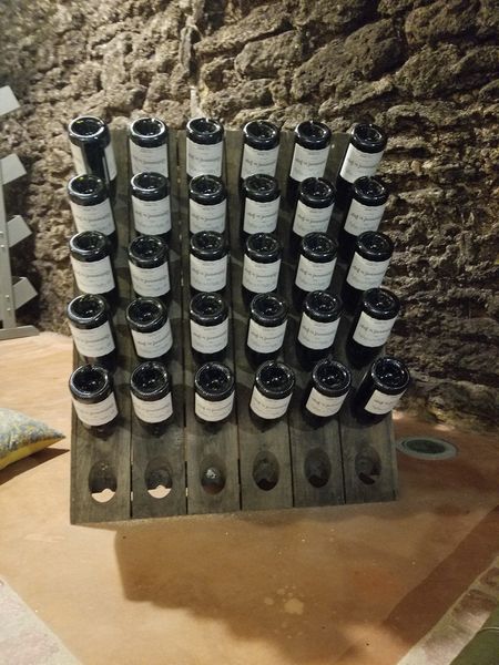 Bottles in a wine rack